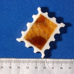 Сувенир Марка из камня Симбирцит