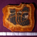 Срез камня Симбирцит