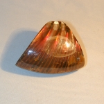 Перламутр красный