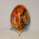 Яйцо из фрагмента аммонита 