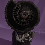 Аммонит на породе Симбирцита