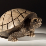 Черепаха серая