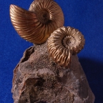 Композиция (2)