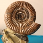 Композиция (3)