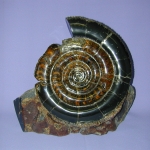 Композиция (9)