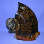 Композиция (10)