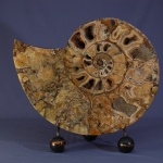 Композиция (15)