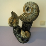 Композиция (16)