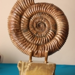 Композиция (17)