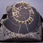 Композиция (18)