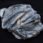 Композиция (20)