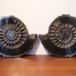 Распил 2 половины