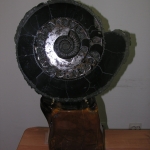 Распил аммонита (20)