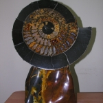 Распил аммонита (21)