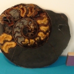Распил аммонита (33)