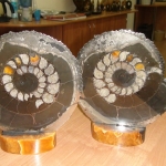 Распил аммонита (39)