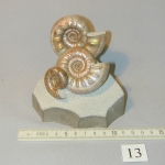 Пластикат10