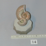 Пластикат11