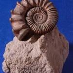 Пластикат12