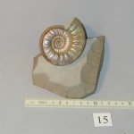 Пластикат13