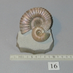 Пластикат14