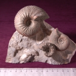 Пластикат18