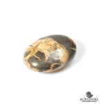 Окатыш Сенгилит