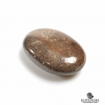 Окатыш кость динозавра