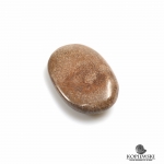 Окатыш кость динозавра