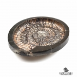 Пепельница из Аммонита 