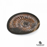 Пепельница из Аммонита 