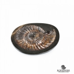 Пепельница из Аммонита