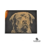 Магнит из камня Симбирцит 