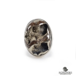 Кольцо с Аммонитовой жеодой 