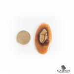 Кабошон из камня Симбирцит