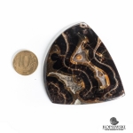 Аммонитовые (Симбирцитовые) Жеоды