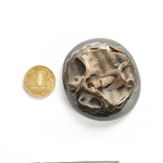 Аммонитовые (Симбирцитовые) Жеоды