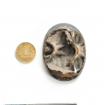 Аммонитовые (Симбирцитовые) Жеоды