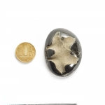 Аммонитовые (Симбирцитовые) Жеоды