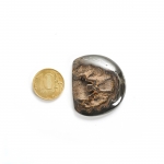 Аммонитовые (Симбирцитовые) Жеоды